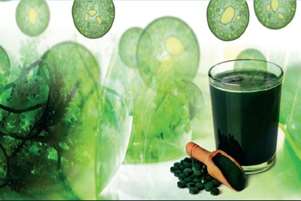 چاپ یک فصل از کتاب Algae Materials Applications Benefitting Health توسط رئیس مرکز رشد بیوتکنولوژی 