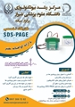 برگزاری کارگاه تخصصی  SDS-PAGE