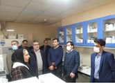 معاون تحقیقات و فناوری دانشگاه علوم پزشکی شیراز در بازدید از مرکز رشد بیوتکنولوژی
